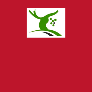 Ribera del Guadiana
